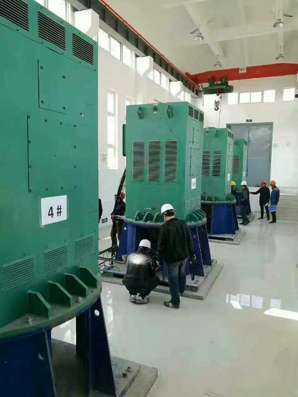 Y8008-4某污水处理厂使用我厂的立式高压电机安装现场生产厂家
