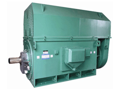Y8008-4Y系列6KV高压电机